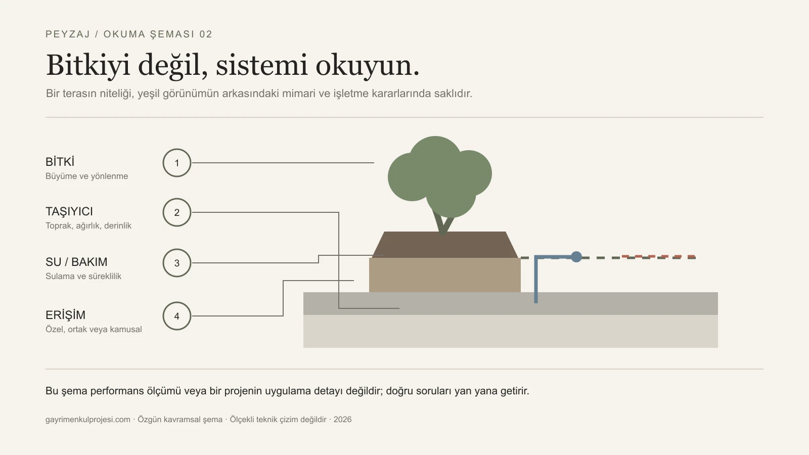 Teraslı yapıda bitki, taşıyıcı, su, bakım ve erişim ilişkisini gösteren kavramsal kesit